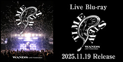 Live Blu-ray「WANDS Live Tour 2025 ～TIME STEW～」 2025年11月19日発売決定！