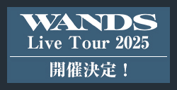 「WANDS Live Tour 2025」開催決定！