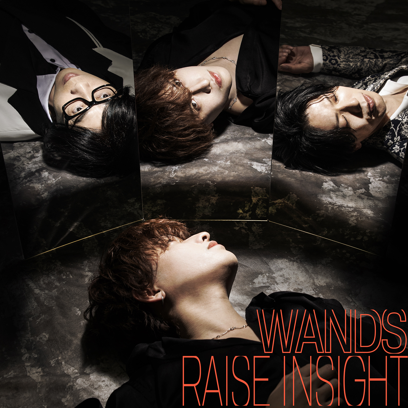 「RAISE INSIGHT」【通常盤(CD＋Blu-ray)】