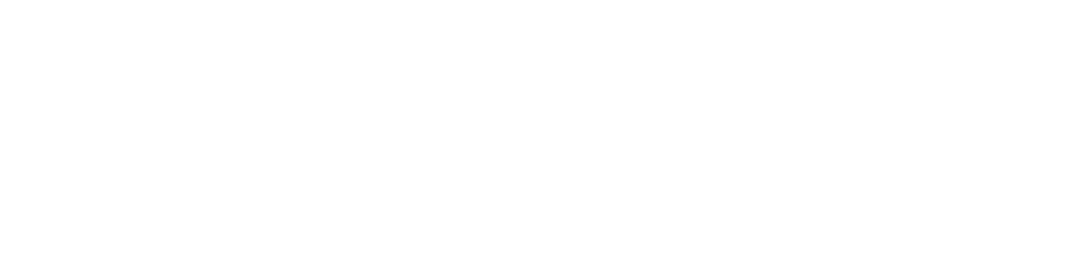 WANDER-LAND NEO
